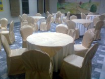 Chairs & Tables
